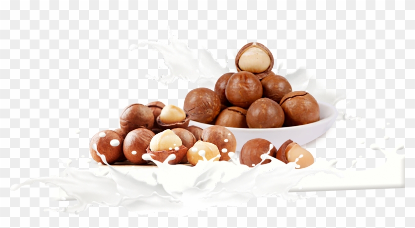 Macadamia Milk Mozartkugel Praline Chocolate Balls - Mozartkugel #1203962