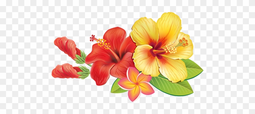 0 A04cb 8beba5ab Orig - Tropical Vector Flowers #1203984