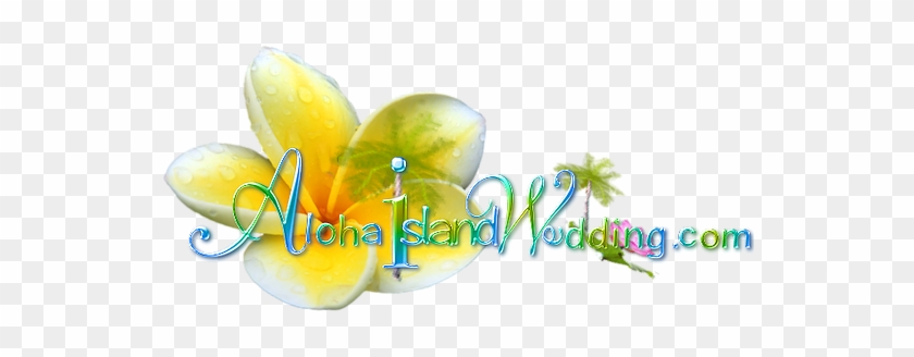 The Hawaiian Wedding Song Hawaiian Lullabye Hanalei - Aloha Island Weddings #1203986