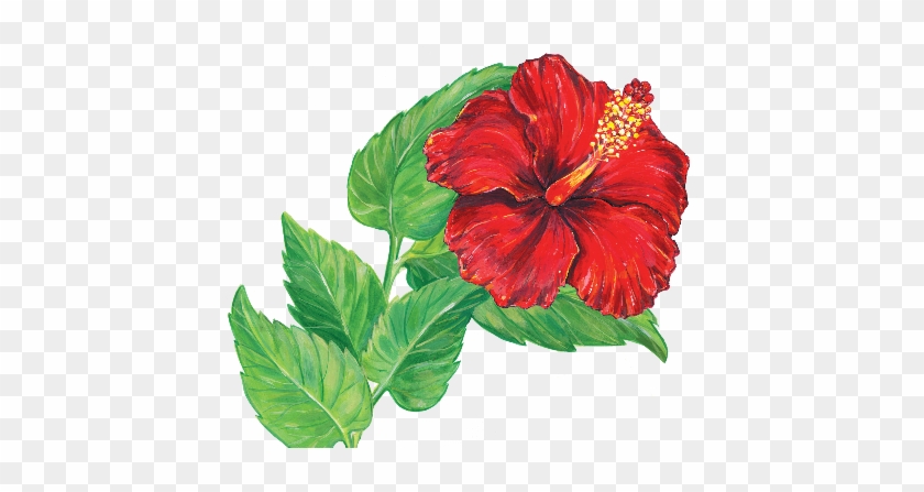 7 Christmas Medley 8 Give Love On Christmas Day 9 I'm - Hawaiian Hibiscus #1203988