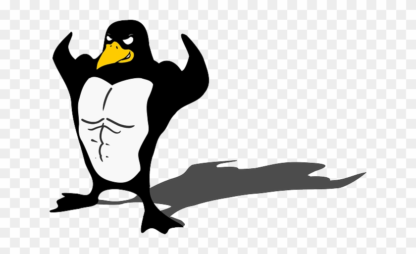 Bodybuilder, Linux, Muscle, Tux, Animal, Funny - Muscle Penguin #1204079