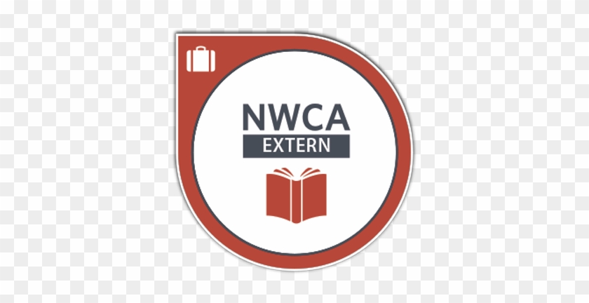 Early Childhood Education Externship National Workforce - Circle #1204112