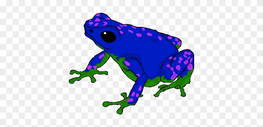 Poison Dart Frog By Toxic Sunrise - Poison Dart Frog Png #1204360