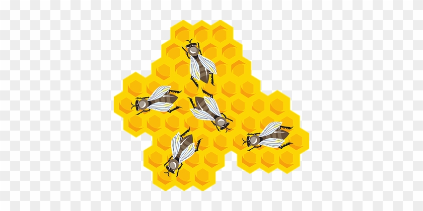 Bees Honeycomb Combs Honey Wax Beeswax Hiv - รังผึ้ง Png #1204568