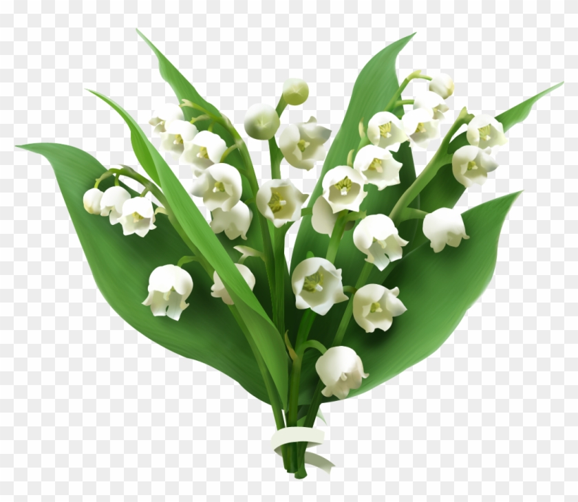 Easter Lily Clip Art Free Download - Lily Of The Valley Png #1204607