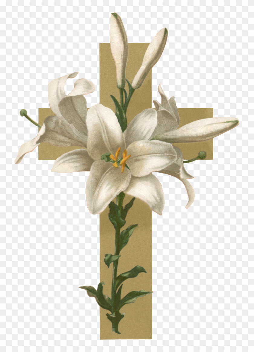 Easter Lily Christian Cross Flower Funeral Clip Art - Adaptability: Adapting Our Will To Gods Way #1204652