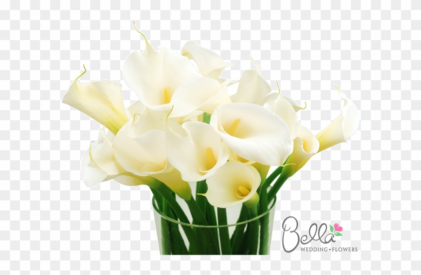 Classic Large White Calla Lily Flowers Are Simply Stunning - Wedding #1204660
