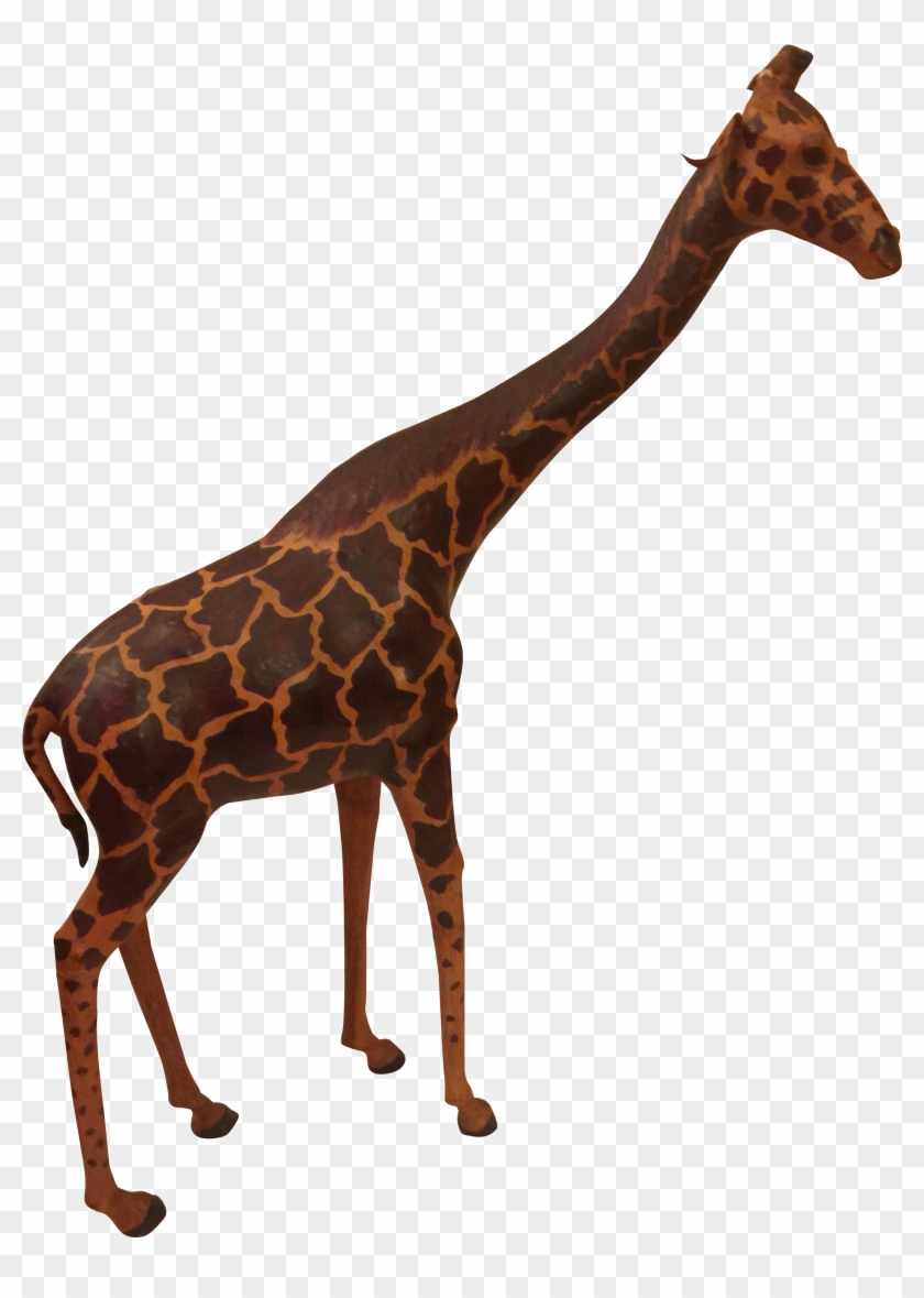 Giraffe #1204685