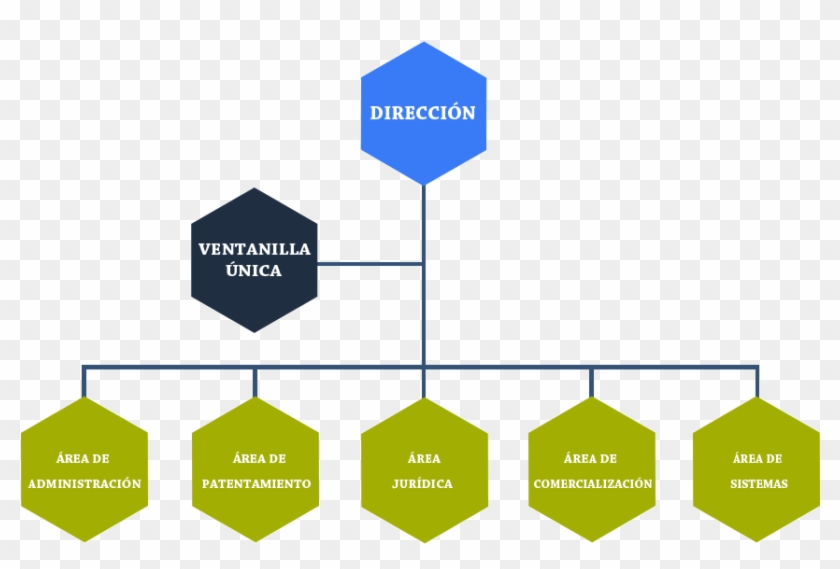 Organization Chart - Organigrama De Una Oficina #1204697