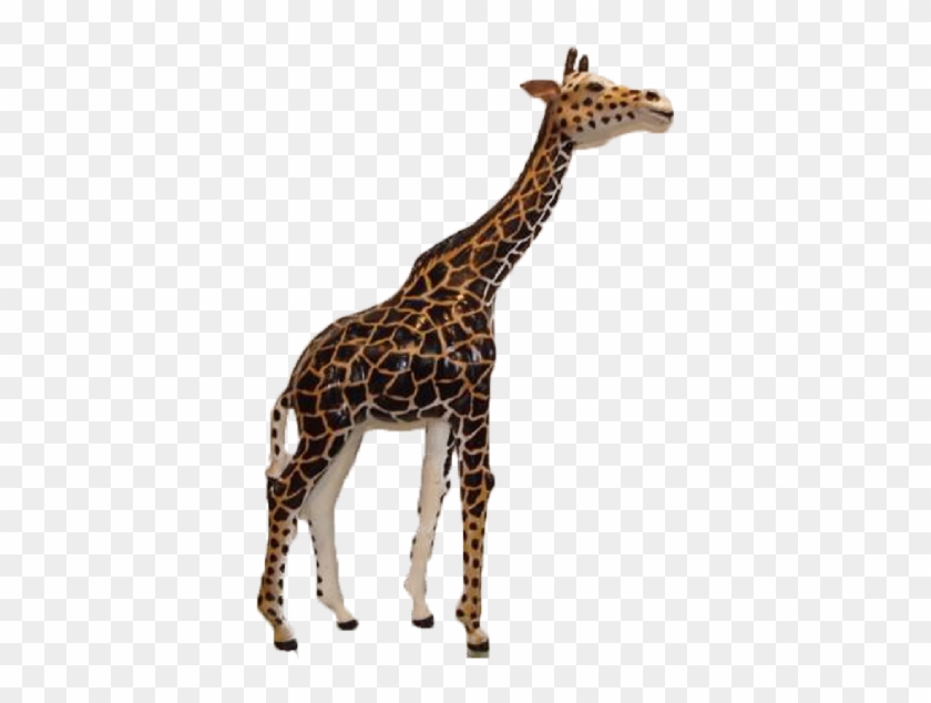 As Per Customer Specification - Giraffe #1204712