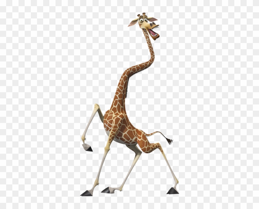Melman - Madagascar Hippo And Giraffe #1204716