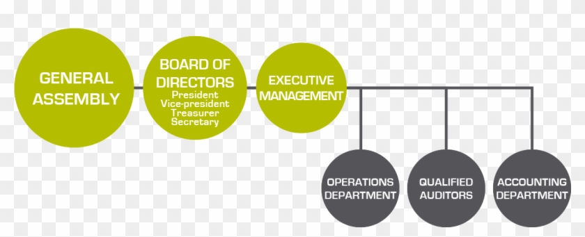 The Board Of Directors Manages The Association Based - Diagram #1204783