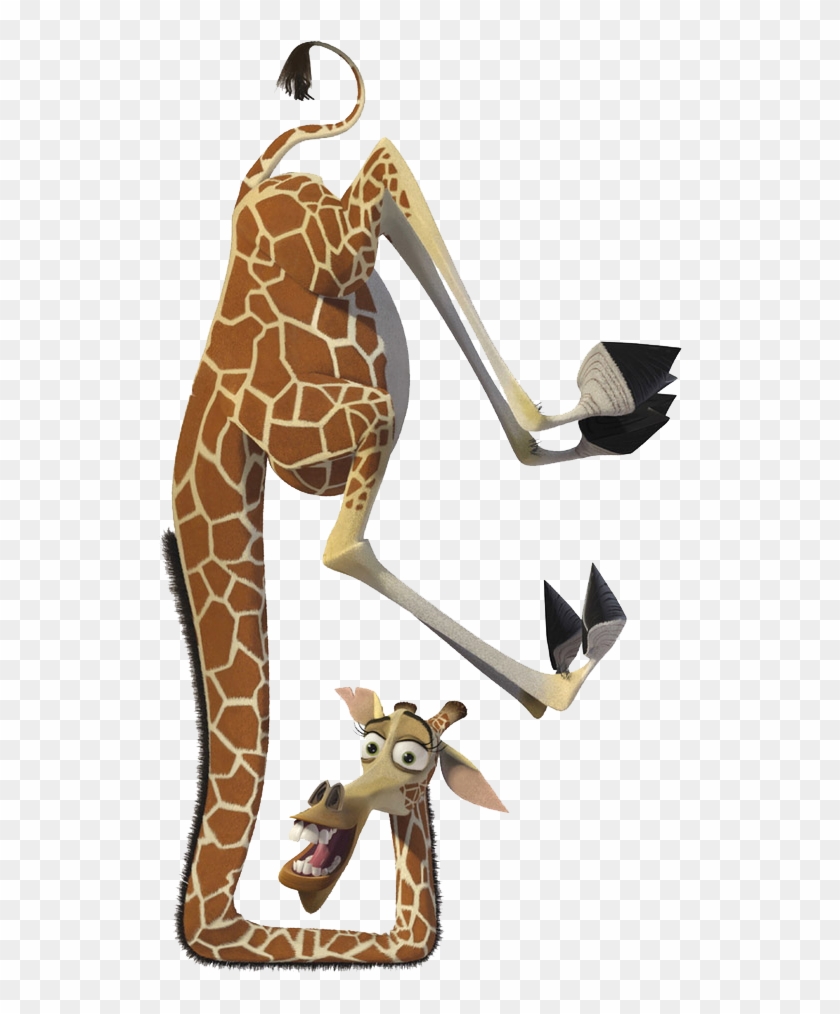 Melman Gloria Alex Marty Madagascar - Madagascar Giraffe Cartoon Png #1204785