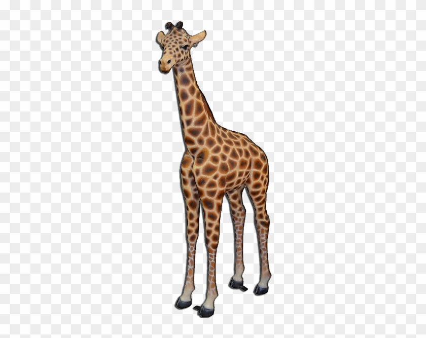 Giraffe - Afd Home Decorative Baby Giraffe 11147235 #1204790