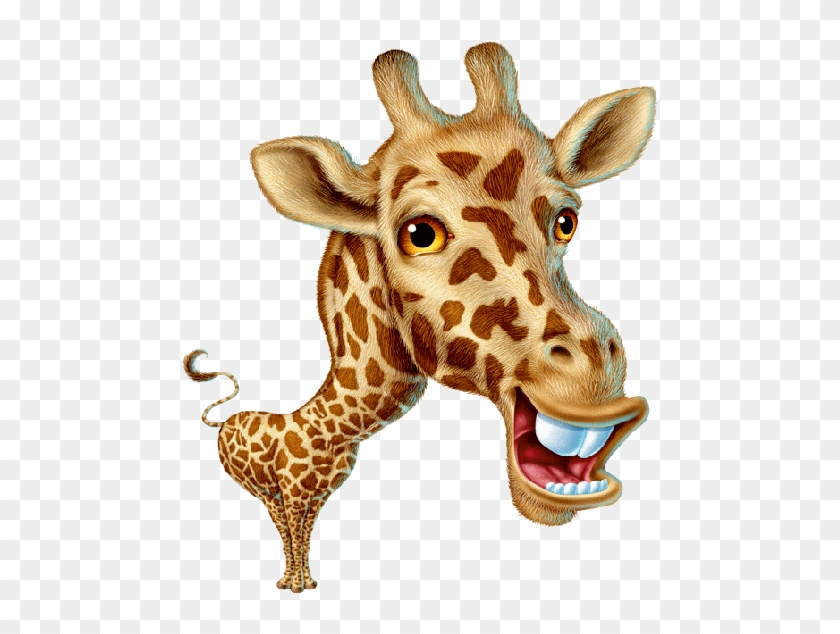 Giraffe Cartoon Animal Images - Millions Watching,you Try It. April The Giraffe. 11 #1204820