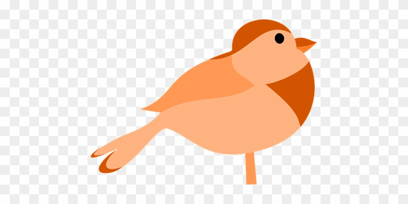 นก, สีส้ม, สีน้ำตาล, โรบิน, ขนาดเล็ก - Orange Bird Clip Art #1204834