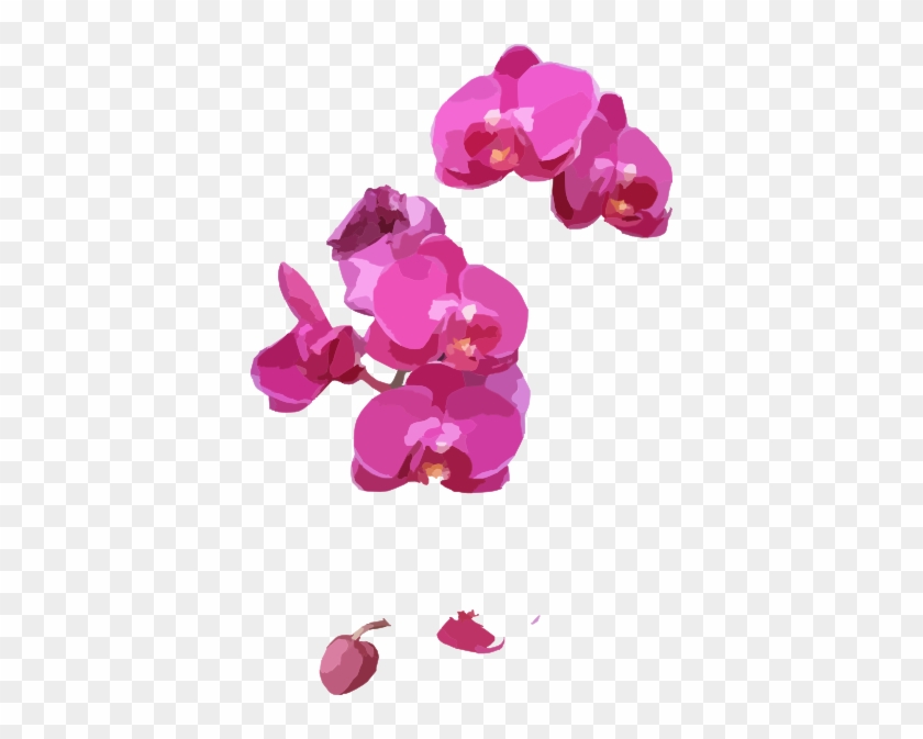 Orchid Clipart Pink Orchid - Orchids Clipart #1204954