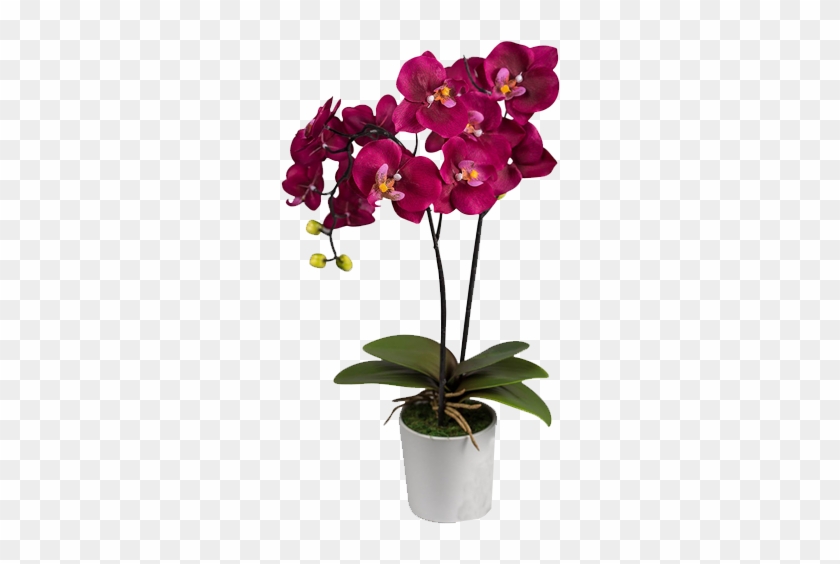 Artificial Silk Orchid Arrangement In Purple Wine Color - Moth Orchid #1204985