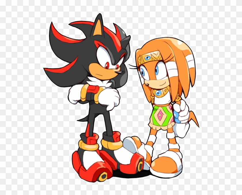 View Collection - Sonic Shadow X Tikal #1205060