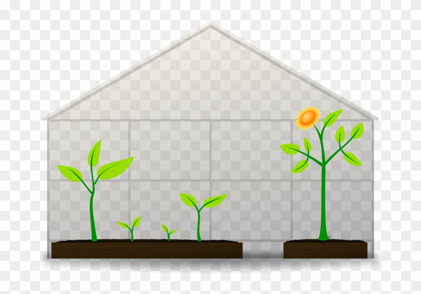 Greenhouse Royalty Free Vector Clip Art Illustration - Green House Png Transparente #1205106