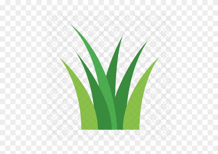 Garden, Gardening, Grass, Green, Nature, Weed, Weeds - Grass Icon Png #1205324