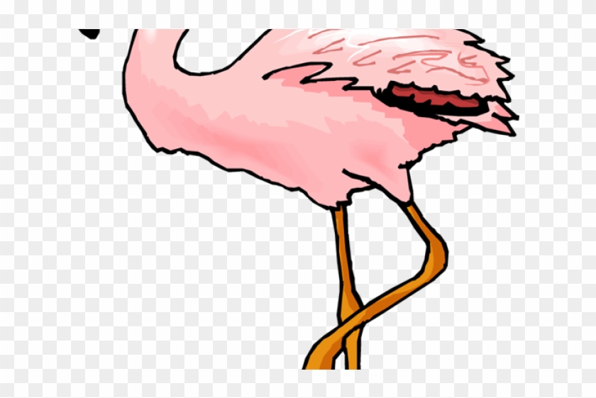 Flamingo Clipart Coral - Gambar Burung Flamingo #1205345
