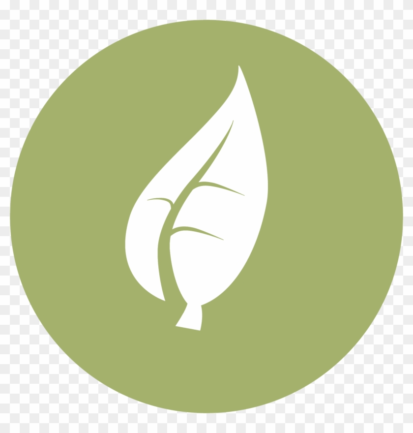 Grow - Coyote #1205514