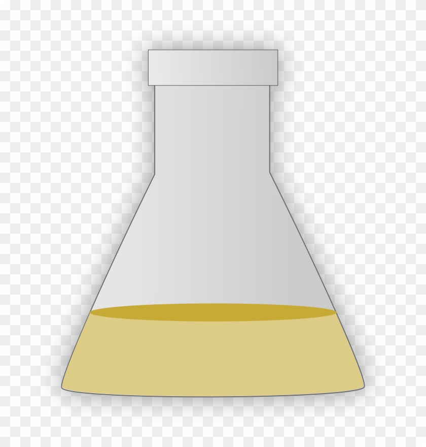 Erlenmeyer Flask - Culture In Conical Flask #1205651