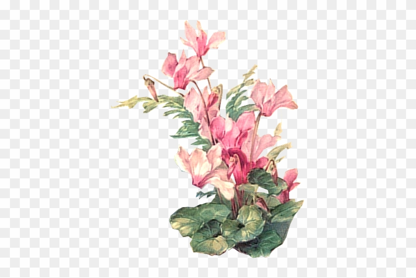 Flower 2 Tuckdb Org - Vintage Flower Painting Png #1205895