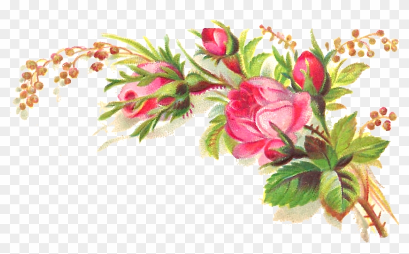 1000 Images About Downloads-vintage Flowers On Pinterest - Aveeno #1205941