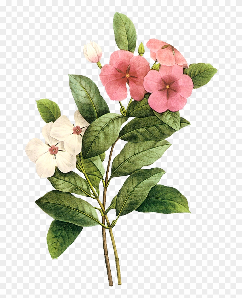 Flower Image Watercolor Painting Design - 3 Fold Fashion Genuine Leather Women Wallets Patchwork #1205951