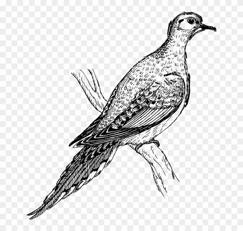 Log Clipart Gambar - Pigeons And Doves #1206251