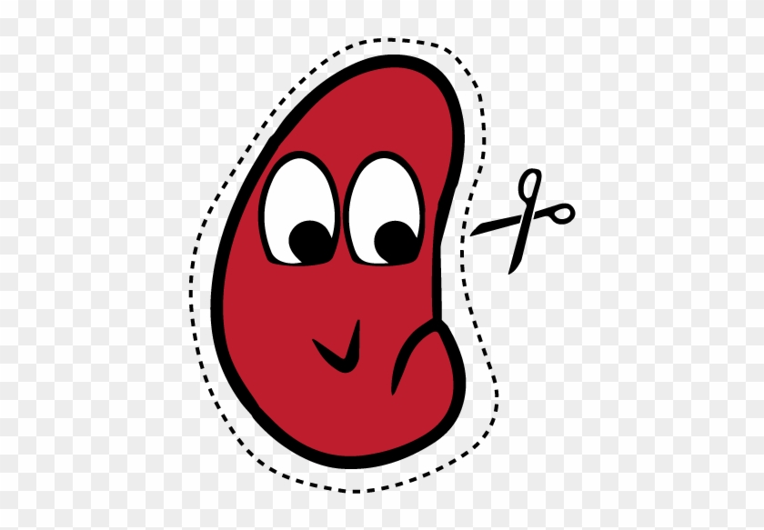 Kidney Kinney - Barbecue #1206434