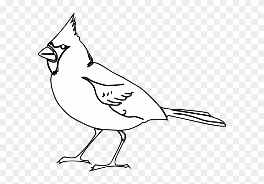 Cardinal Bird Clipart Illustration - Black And White Cardinals Clipart #1206801