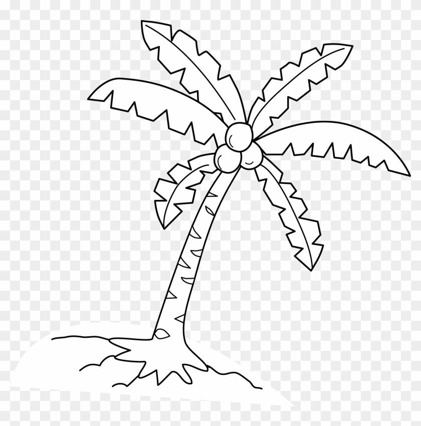 Cartoon Coconut Trees - Coconut Tree Vector White - Free Transparent PNG  Clipart Images Download