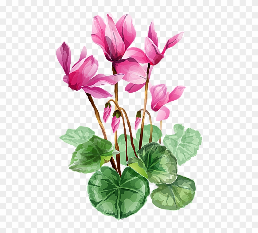 Flower Bouquet A Bouquet Of Summer Flowers Clip Art - Cyclamen Clipart #1207160