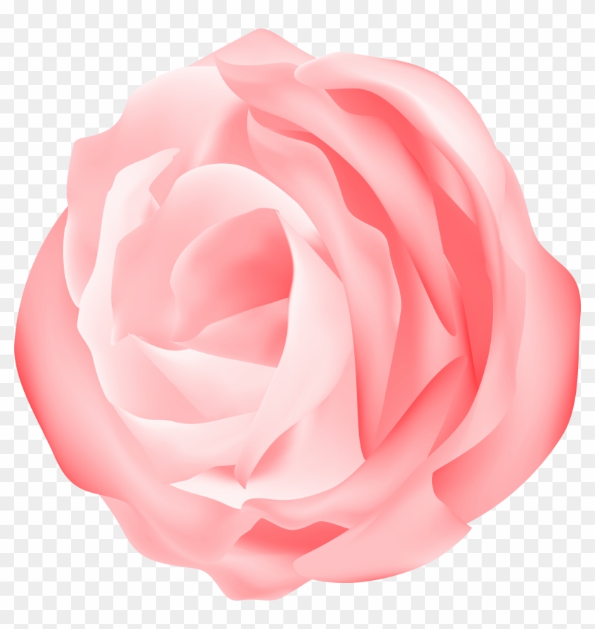 Camellia Clipart Digital Camellia Flower Clip Art Pink - Camellia Clipart Digital Camellia Flower Clip Art Pink #1207175