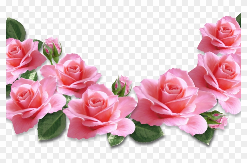 Pink Rose Clip Art Free Clip Artme - Valentines Day Pink Roses #1207230