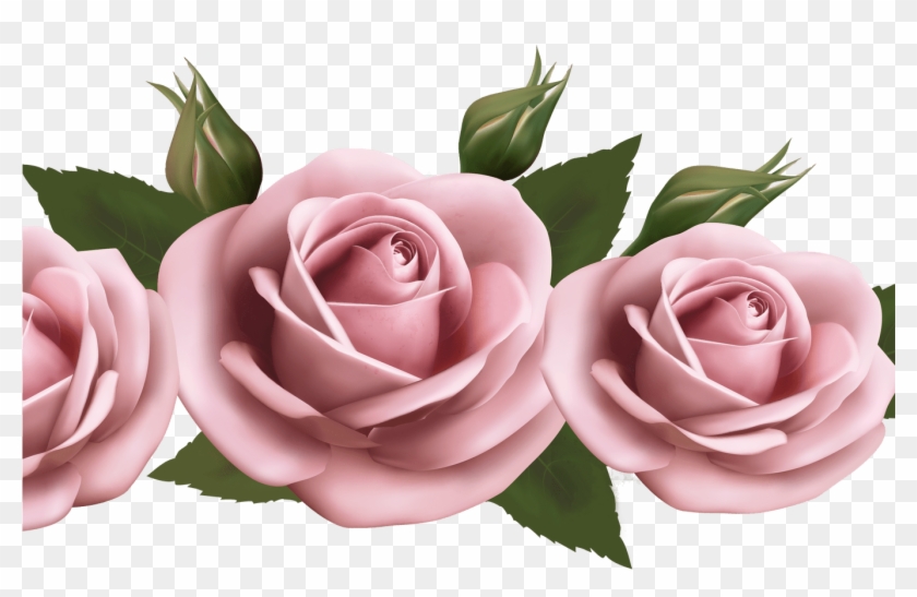 Beautiful Transparent Pink Roses Png Picture Gallery - Flowers On A Paper Background #1207243