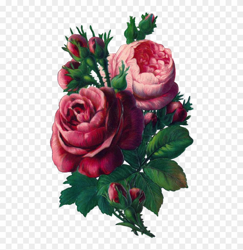 Vintage Rose Clip Art, Vintage Rose Decoupage, Some - Flower Vintage Rose #1207289