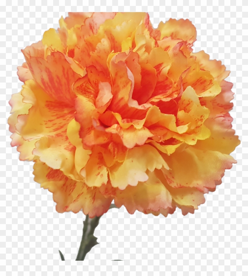 S9998gld 61cm Carnation Silk Silk Wedding Bouquets - Carnation #1207296