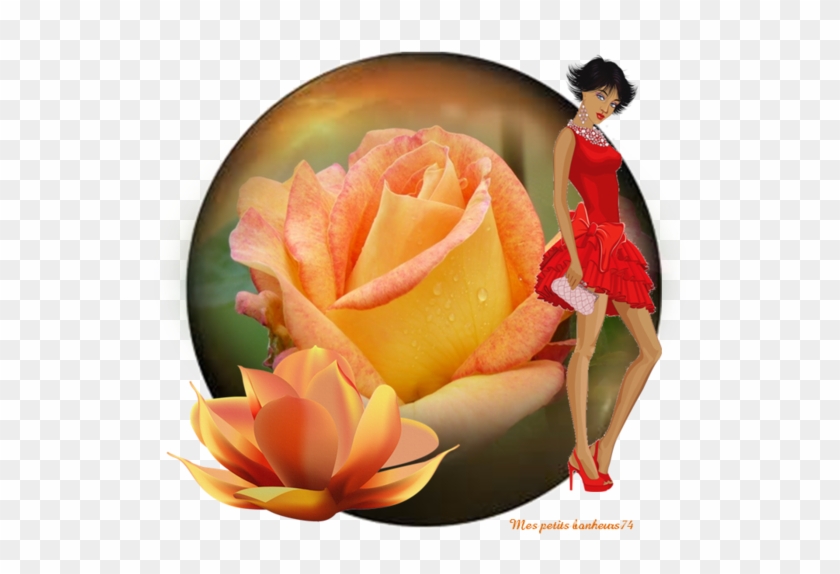 Hybrid Tea Rose #1207349