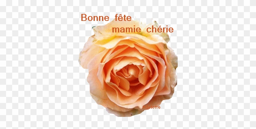 Bonne Fête Mamie Chérie - Bonne Fete Mamie Cherie #1207392