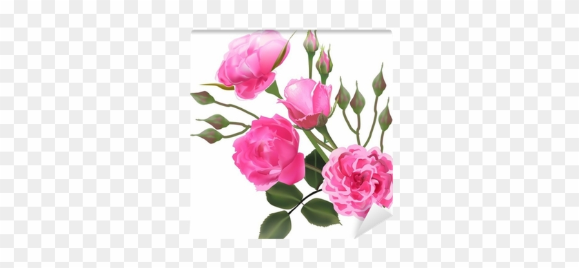 Four Light Pink Roses And Lot Of Buds Wall Mural • - Rose #1207403