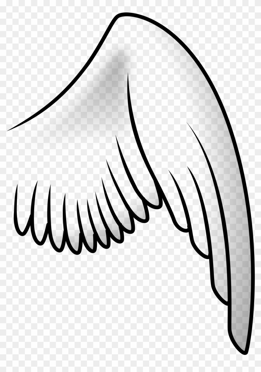 Big Image - White Bird Wings Png #1207608