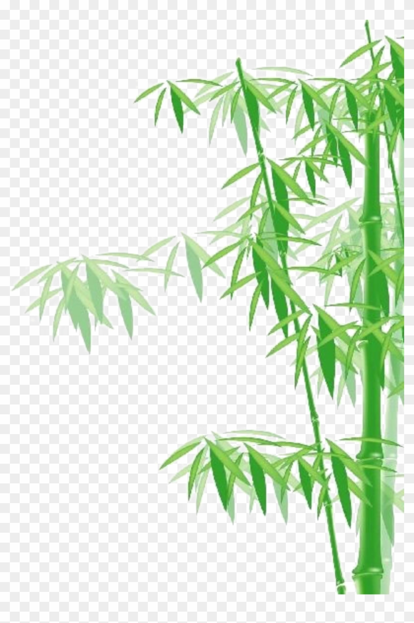 Bamboo Clip Art - 竹 フリー 素材 イラスト #1207623