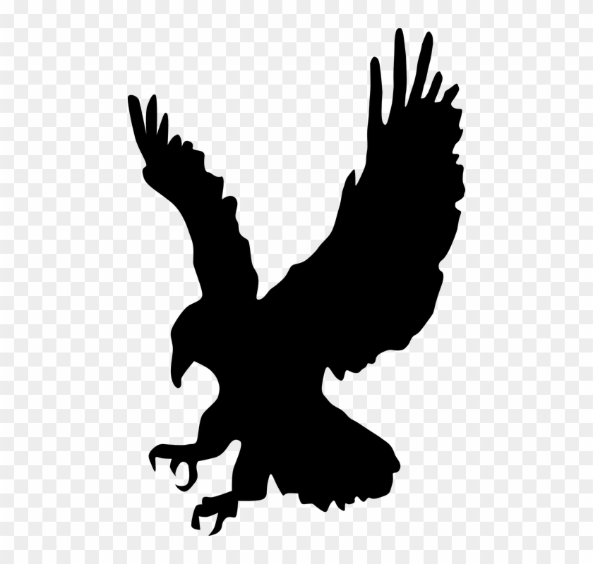 Hawk Clipart Wings - Eagle Clipart #1207639