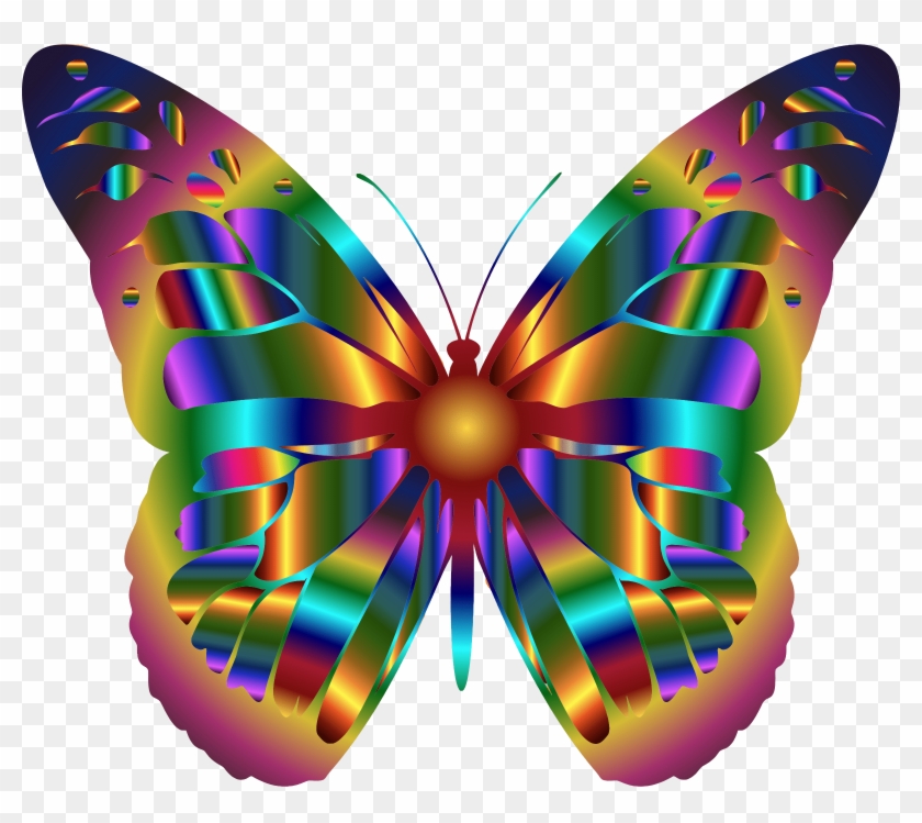 Rainbow Butterfly Png - Real Rainbow Monarch Butterfly #1207674