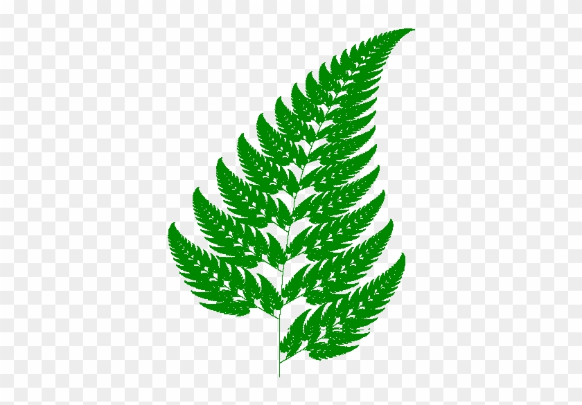 Figure 11 - - Fern Leaf #1207785