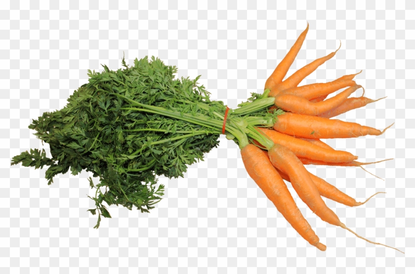 Portable Network Graphics Carrot Clip Art Image Computer - Fresh Carrot Png #1207827